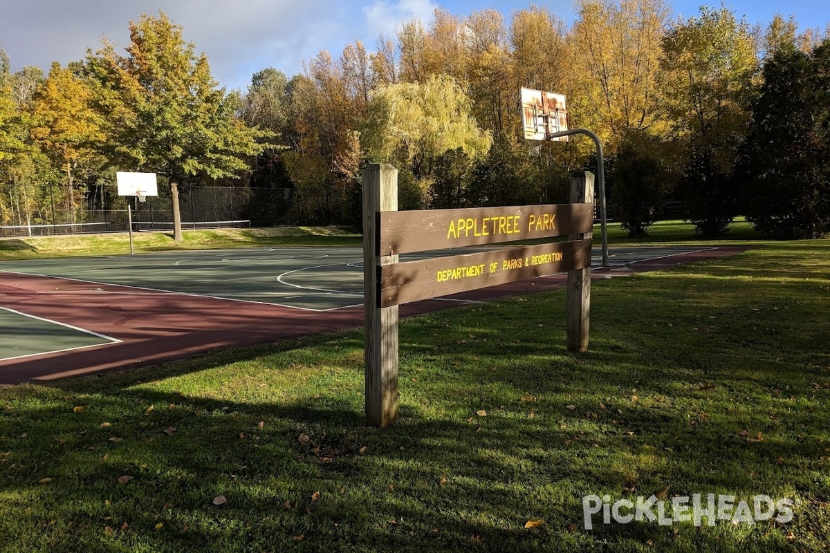 Photo of Pickleball at Appletree Park